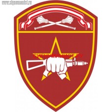 Шеврон военнослужащих отрядов специального назначения Центрального округа ВНГ